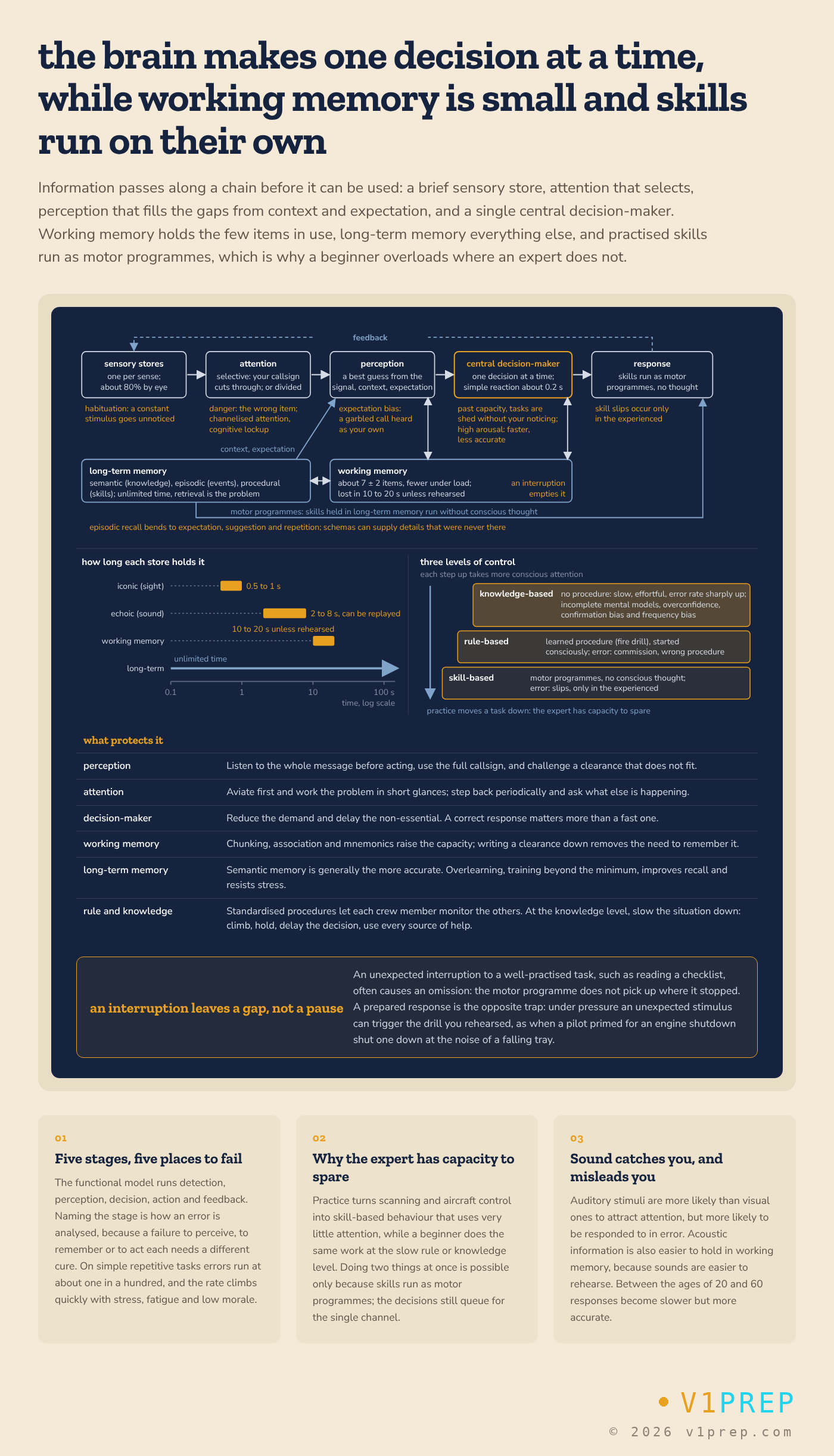 The limits aptitude tests probe: brief sensory stores, selective and divided attention, a single-channel decision maker, a small working memory and skills that run as motor programmes. v1prep schematic.