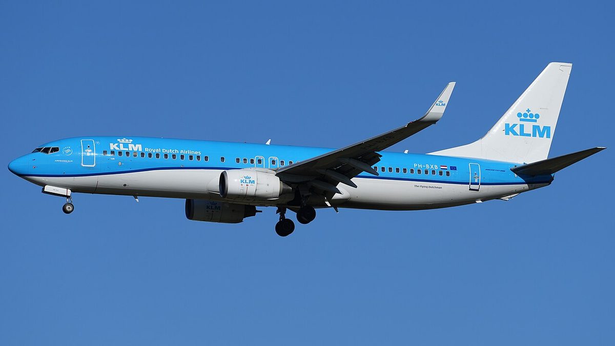 A light blue KLM Boeing 737 with its landing gear down, flying against a clear blue sky.