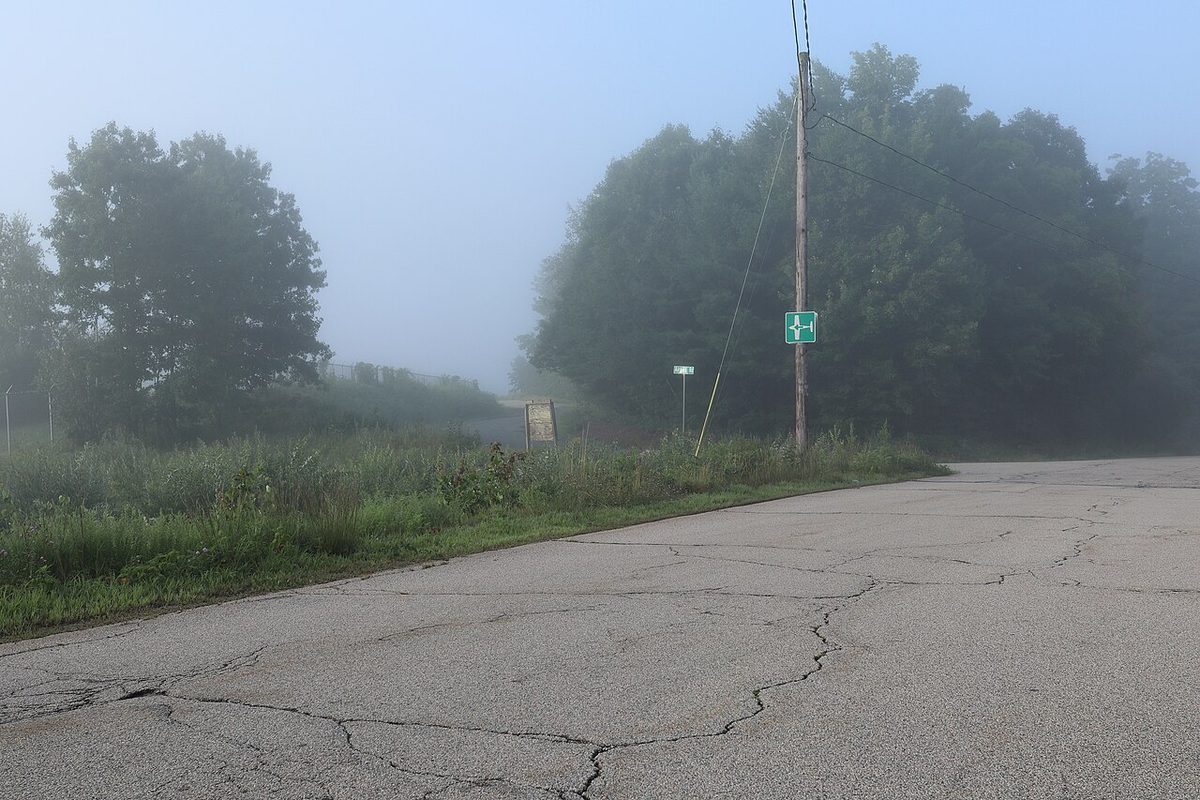 A country road leading into thick morning fog, with trees fading into the grey and no sky visible.