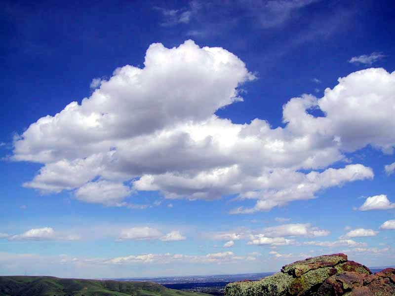 Scattered white cumulus clouds with flat bases and rounded tops in a blue sky.