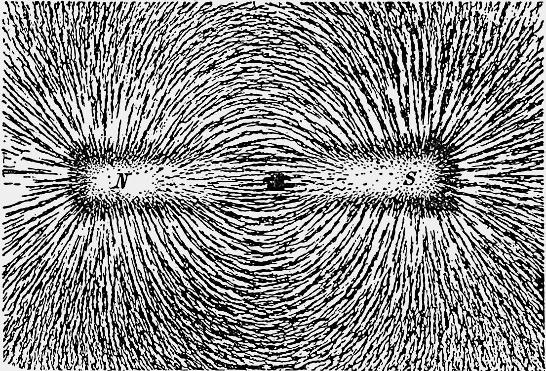 Iron filings sprinkled around a magnet, lined up in curved paths that show the shape of its magnetic field.