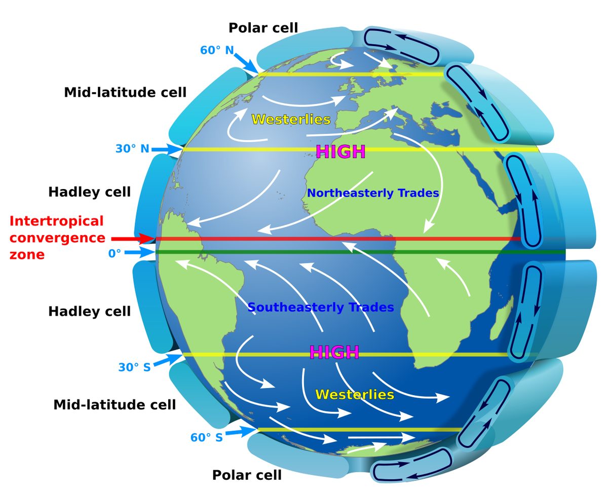 Diagram of the Earth showing circulation cells in each hemisphere and the surface wind belts between them.