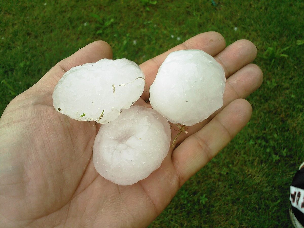 Several hailstones, lumps of ice of different sizes.