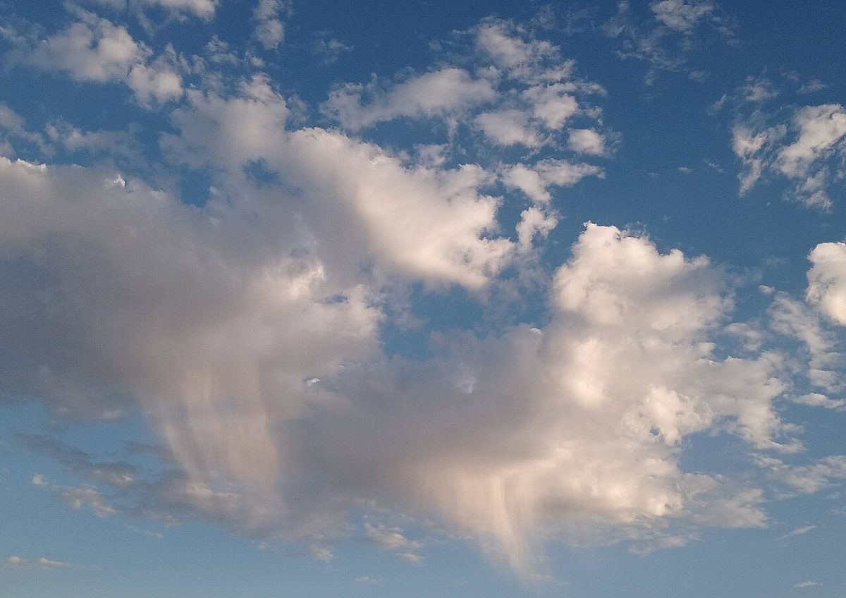 Grey streaks of precipitation hanging below a cloud base and fading out well above the ground.