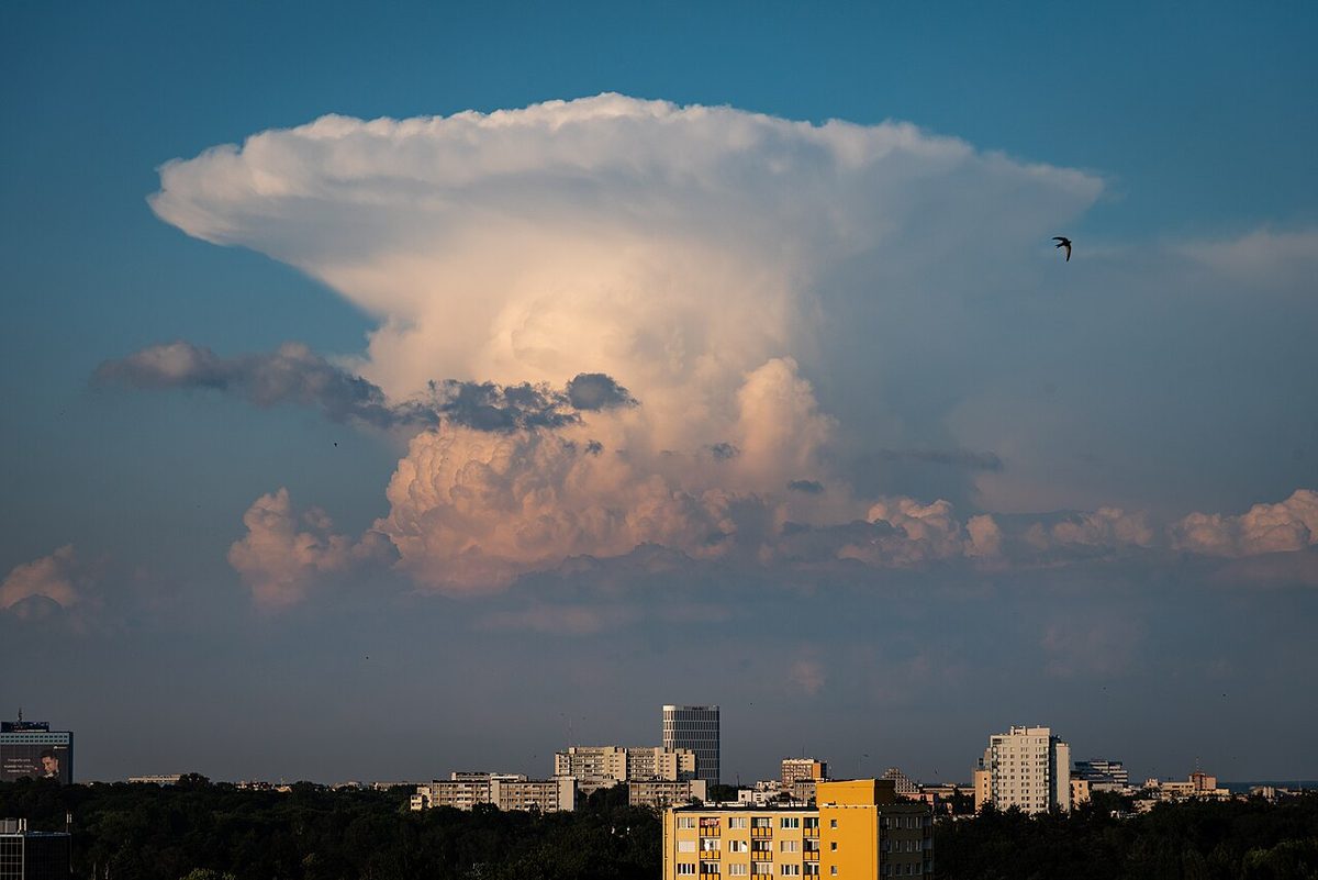 A towering cumulonimbus cloud whose top has spread out sideways into a flat, wide anvil.