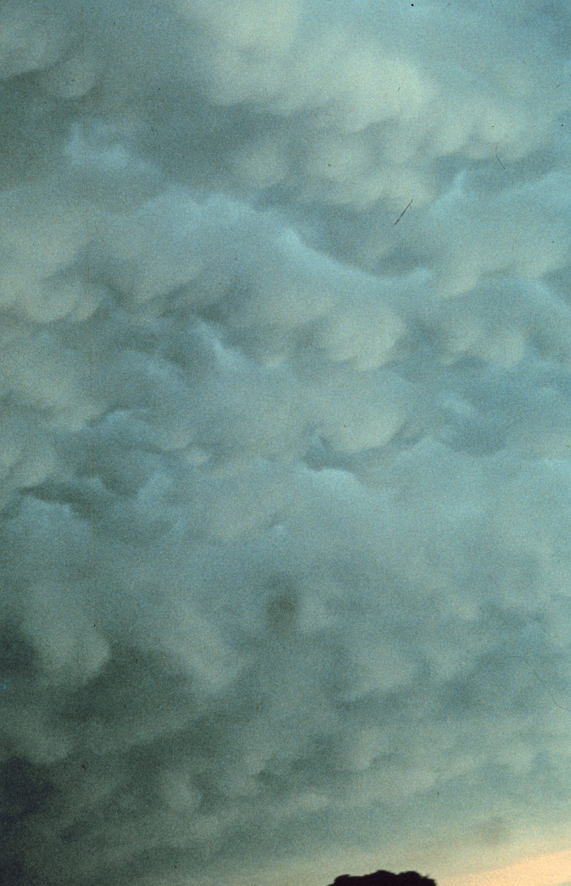 Rounded, pouch-like cloud lobes hanging from the underside of a thunderstorm anvil.