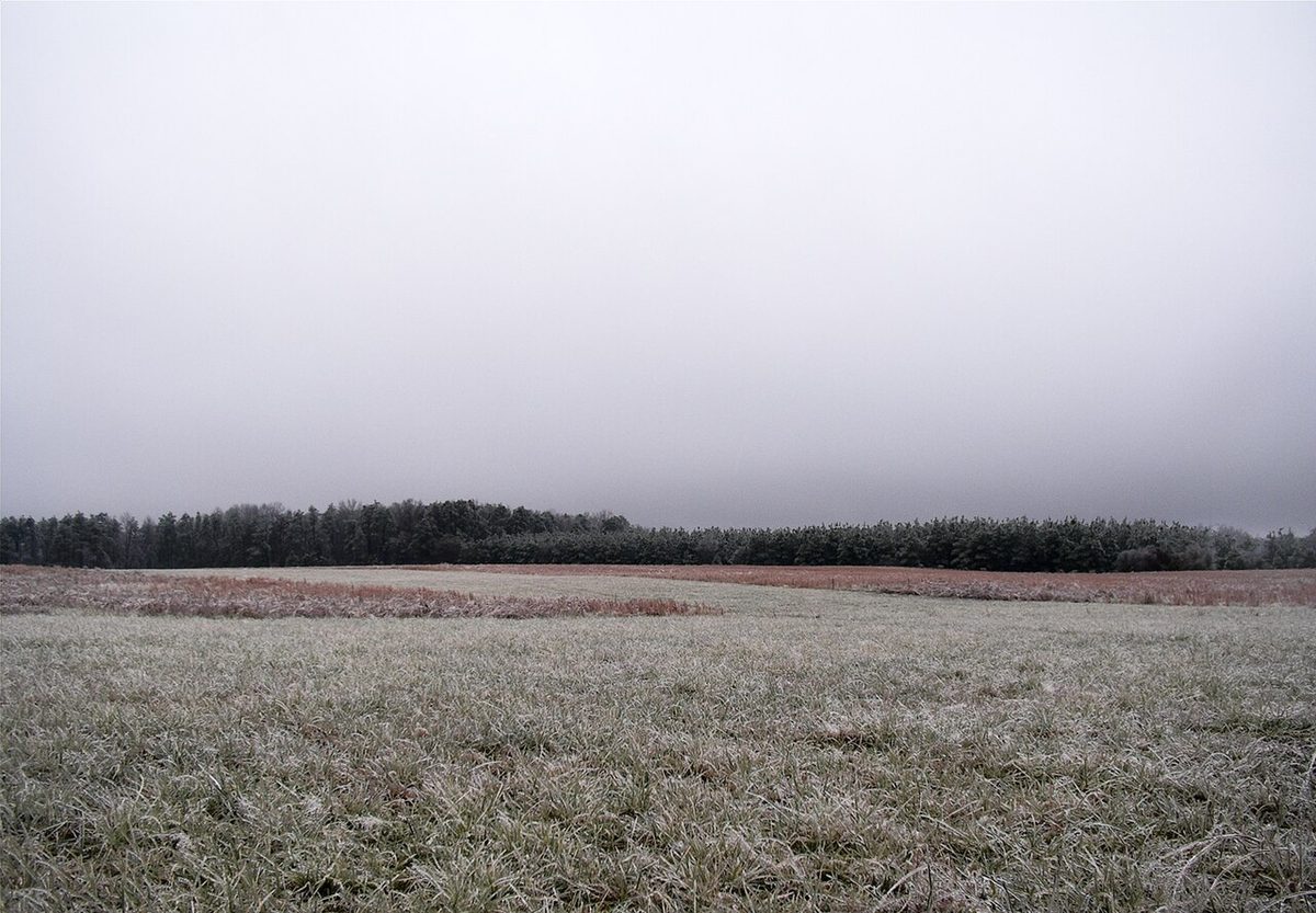 A flat, uniform grey cloud layer filling the whole sky above a dark treeline and a frosted grass field.