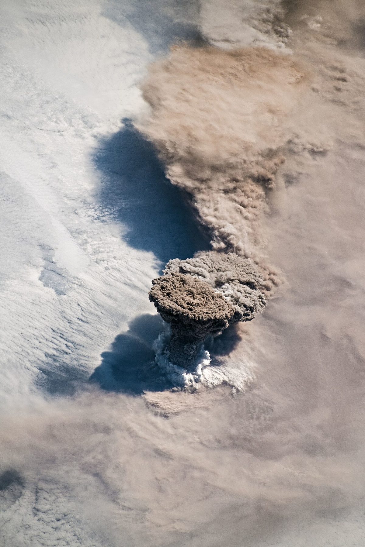 A tall grey column of volcanic ash rising from an erupting volcano and spreading out downwind.