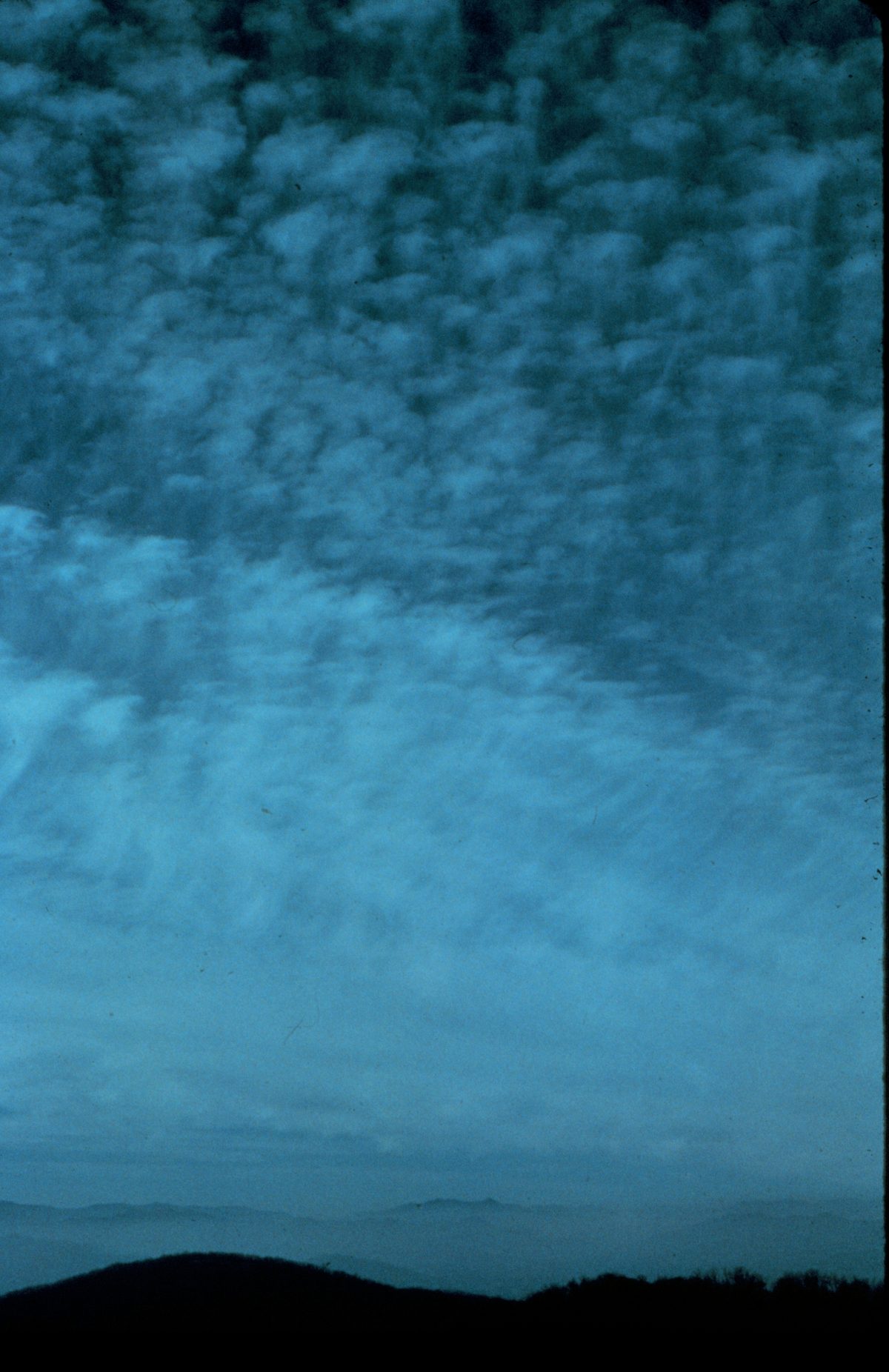 Streaks of precipitation hanging below a cloud base and fading out before they reach the ground.