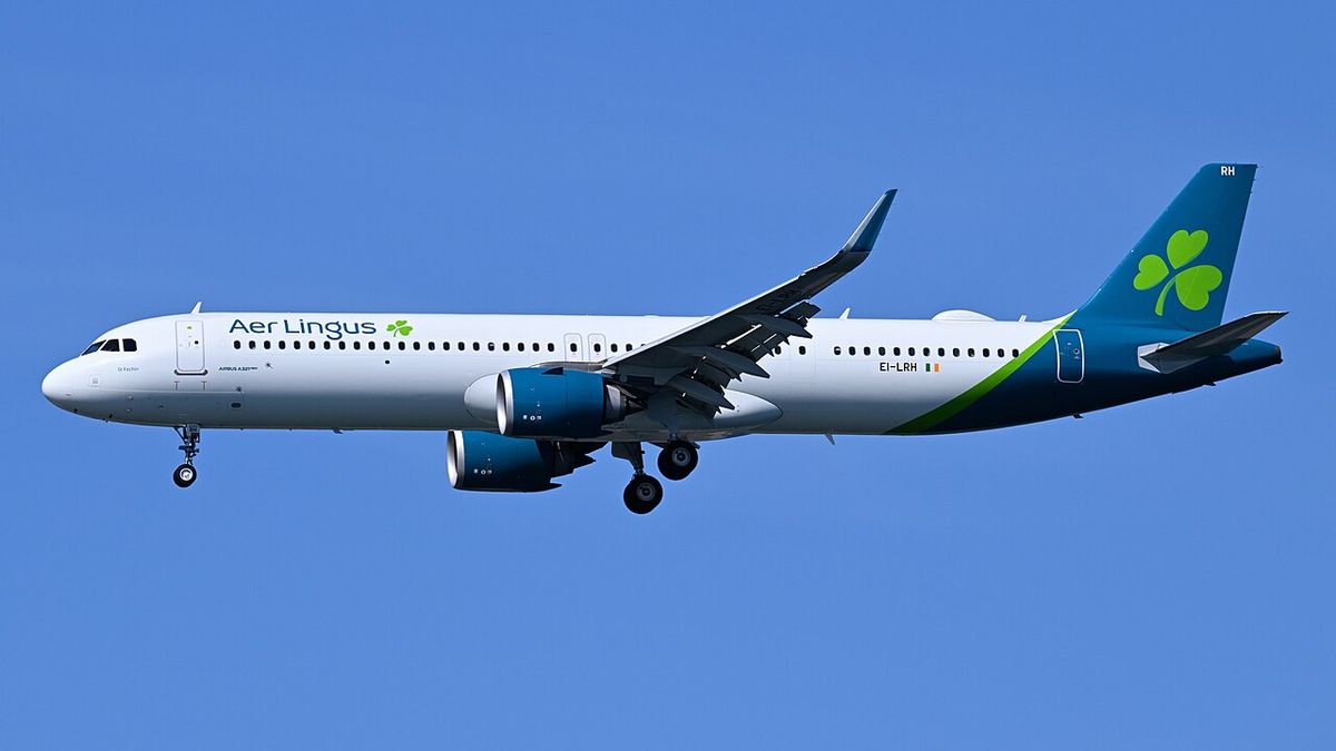A white Aer Lingus Airbus A321neo with a teal tail and green shamrock, landing gear down, against a clear blue sky.