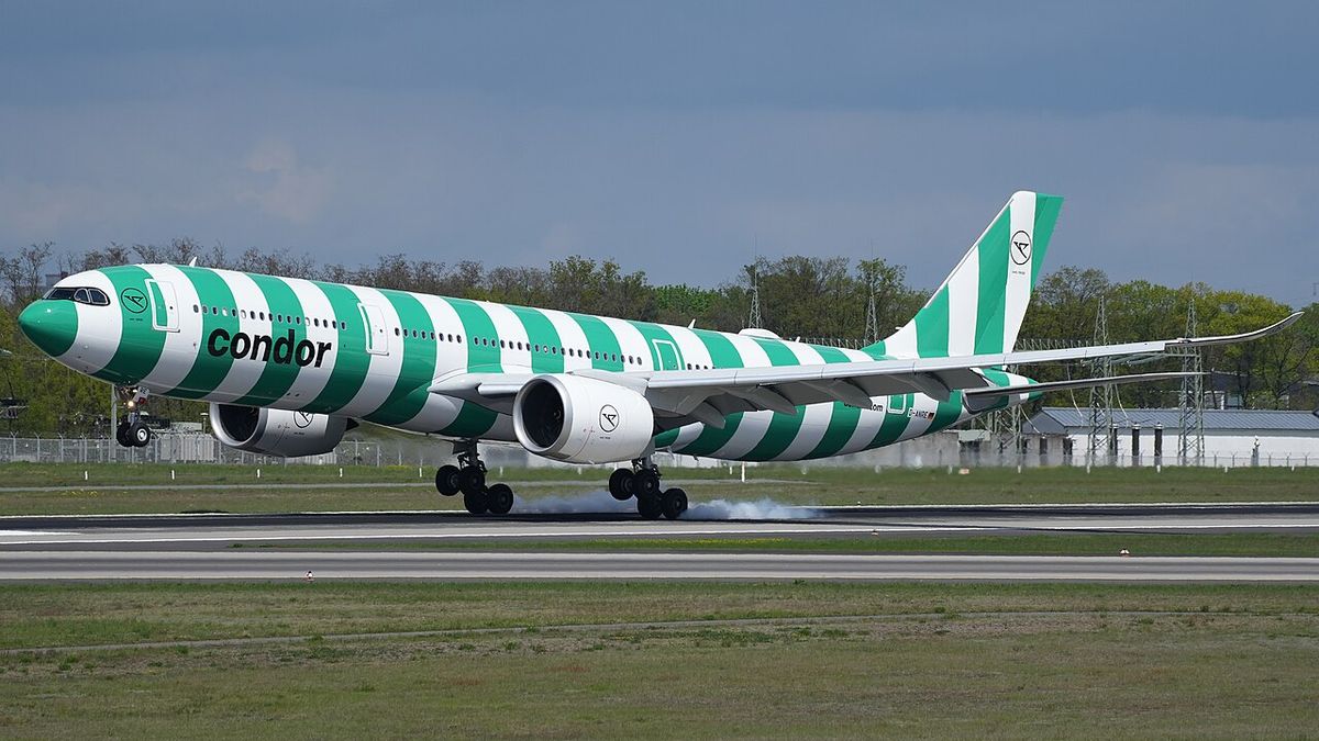 A Condor Airbus A330-900neo in green and white stripes touching down on the runway at Frankfurt, smoke rising from the main wheels.
